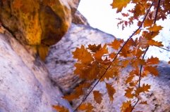 Sächsische Schweiz im Herbst