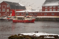 Einlaufendes Fischerboot in den Hafen von Henningsvær